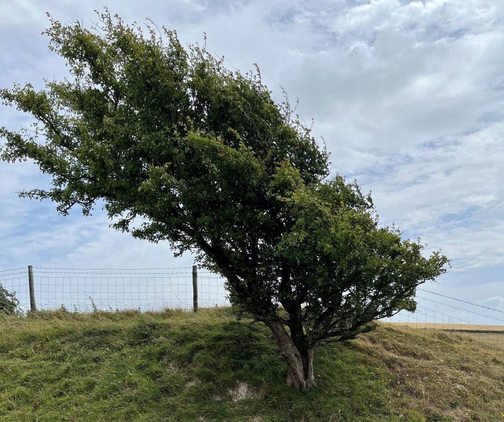 My learning journey: from there to&nbsp;here